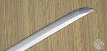 Load image into Gallery viewer, Practical Katana
